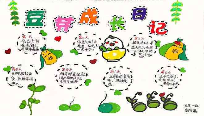 豆芽成长记：探索豆芽儿的培育过程与生活启示