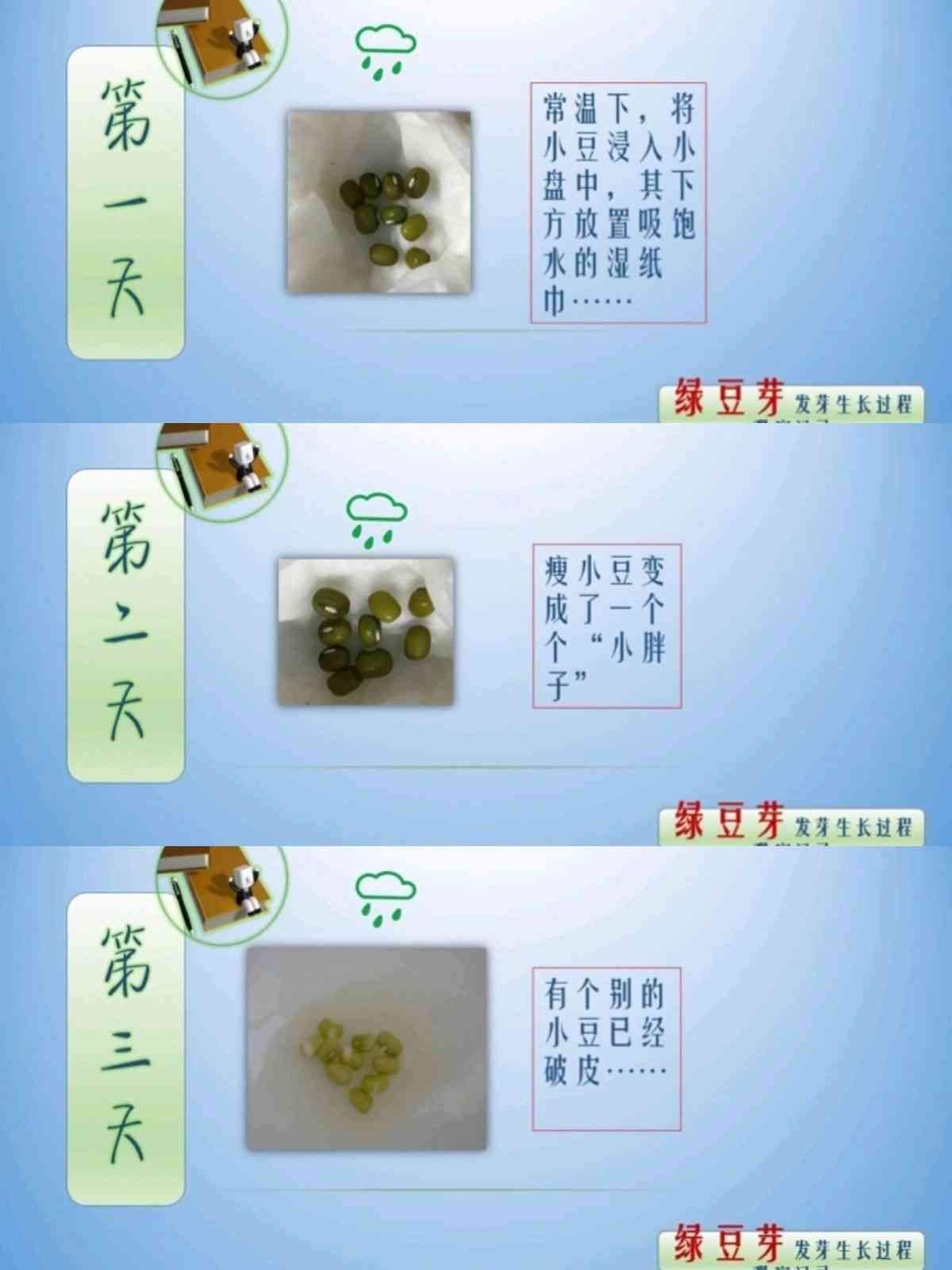 豆芽成长记：探索豆芽儿的培育过程与生活启示