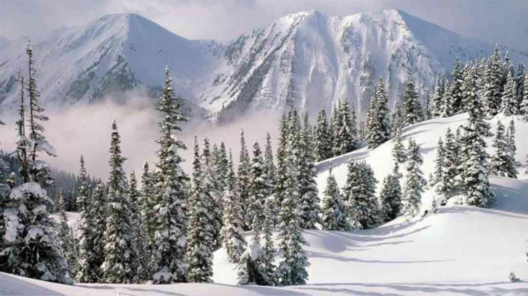 重复雪景诗意文案
