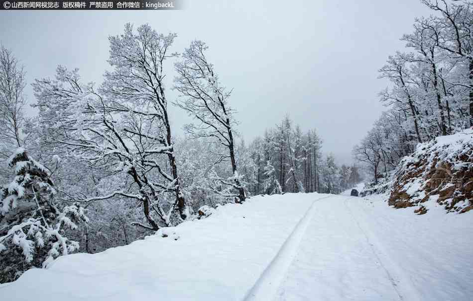 精选雪景文案短句：唯美治愈，暖心灵，涵冬日美景感悟与情感抒发