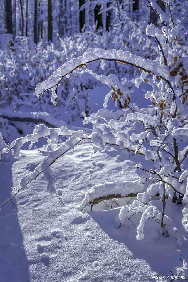 雪韵悠扬：融合雪景的浪漫诗意文案