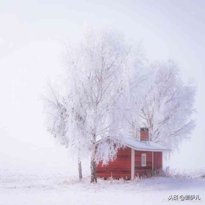 雪韵悠扬：融合雪景的浪漫诗意文案