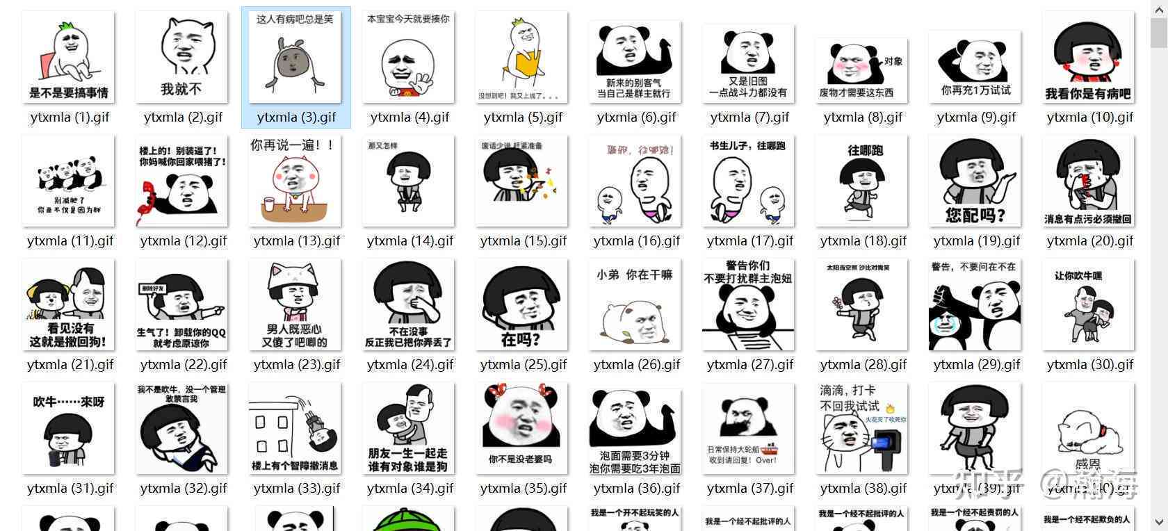 '流行表情包文案灵感汇编与创意参考指南'