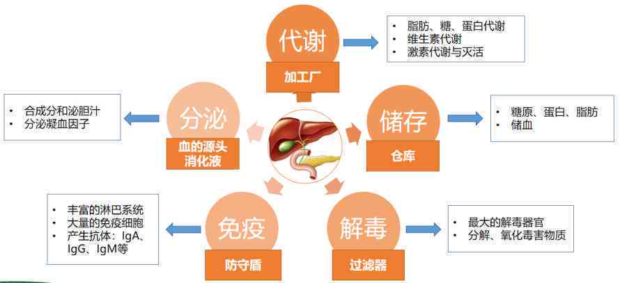 养殖大户怎么认定工伤赔偿标准及金额