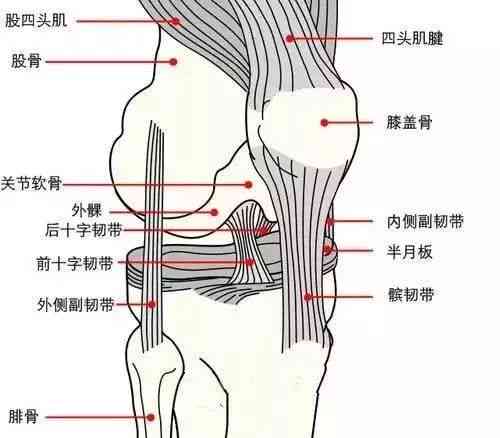 冈上肌腱损伤高效修复策略与实践