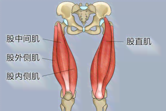 冈上肌腱修复手术费用解析：涵不同类型、程度及医院级别价格范围