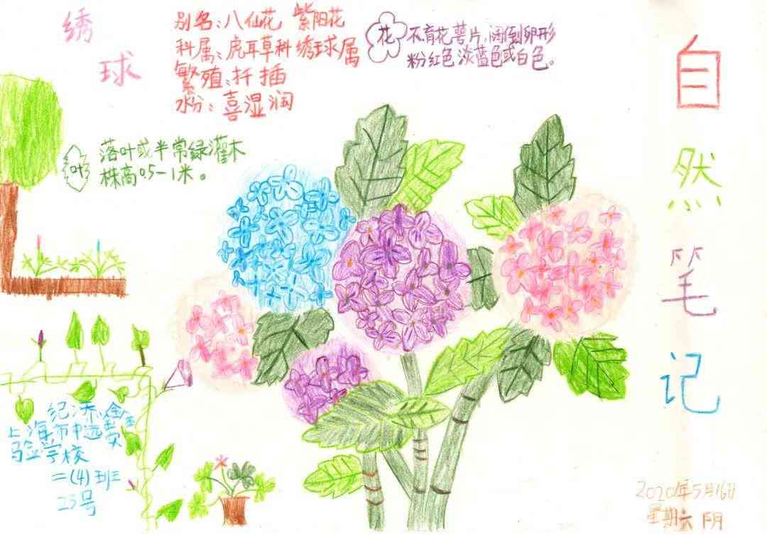 AI绘画：全方位探索花卉主题创作与相关文案设计指南
