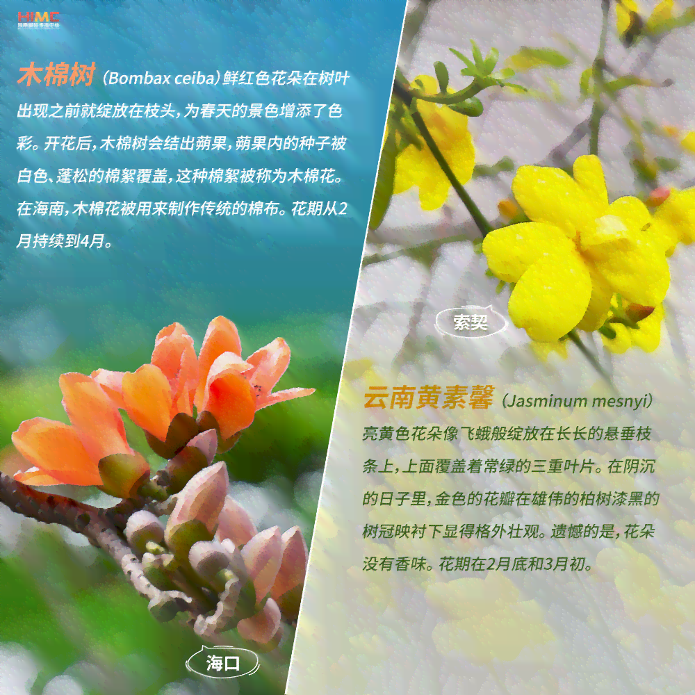 AI绘画：全方位探索花卉主题创作与相关文案设计指南