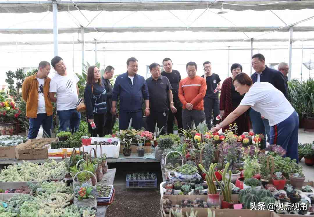 医疗团队介绍怎么写：范文简短文案撰写攻略