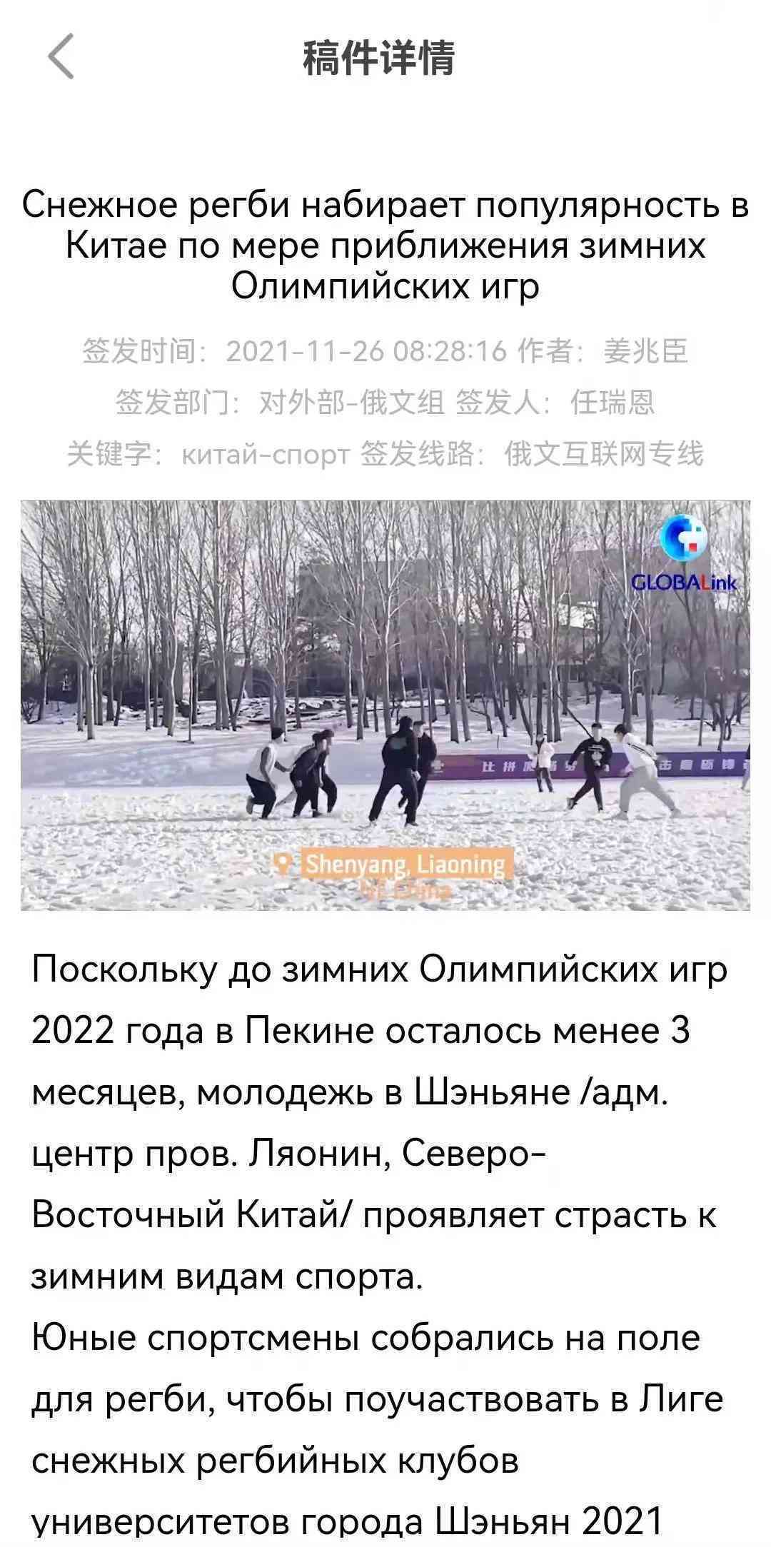 《雪地飞驰：我的雪日记作文》
