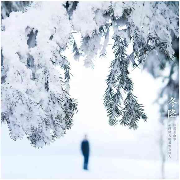 全方位雪体验：绘画与日记记录雪地乐趣与技巧分享