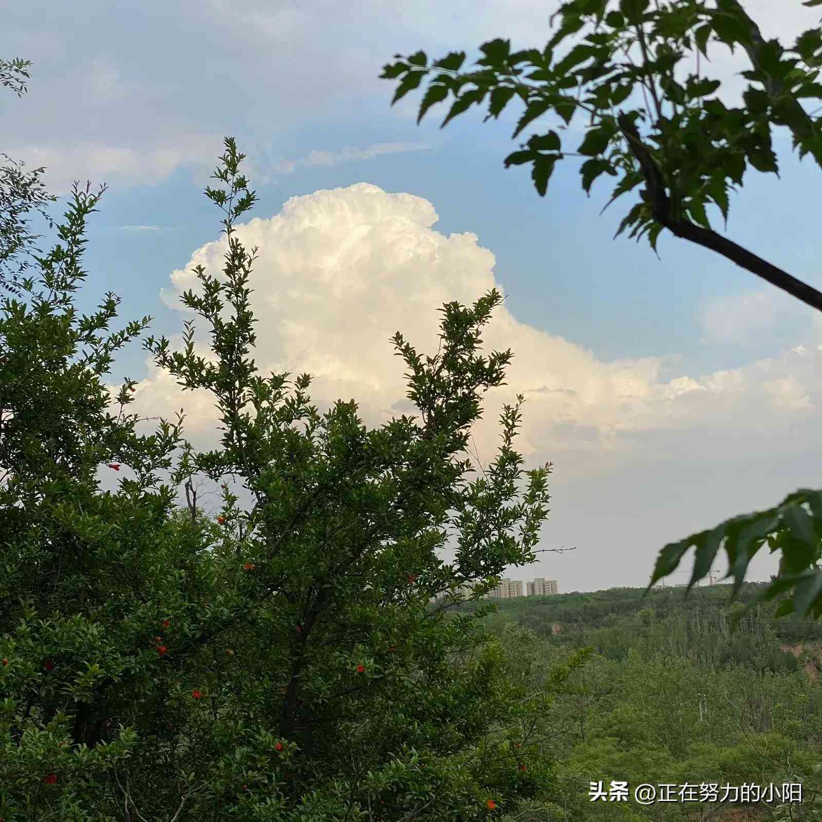 月圆人团圆：中秋国庆双节同庆文案精选