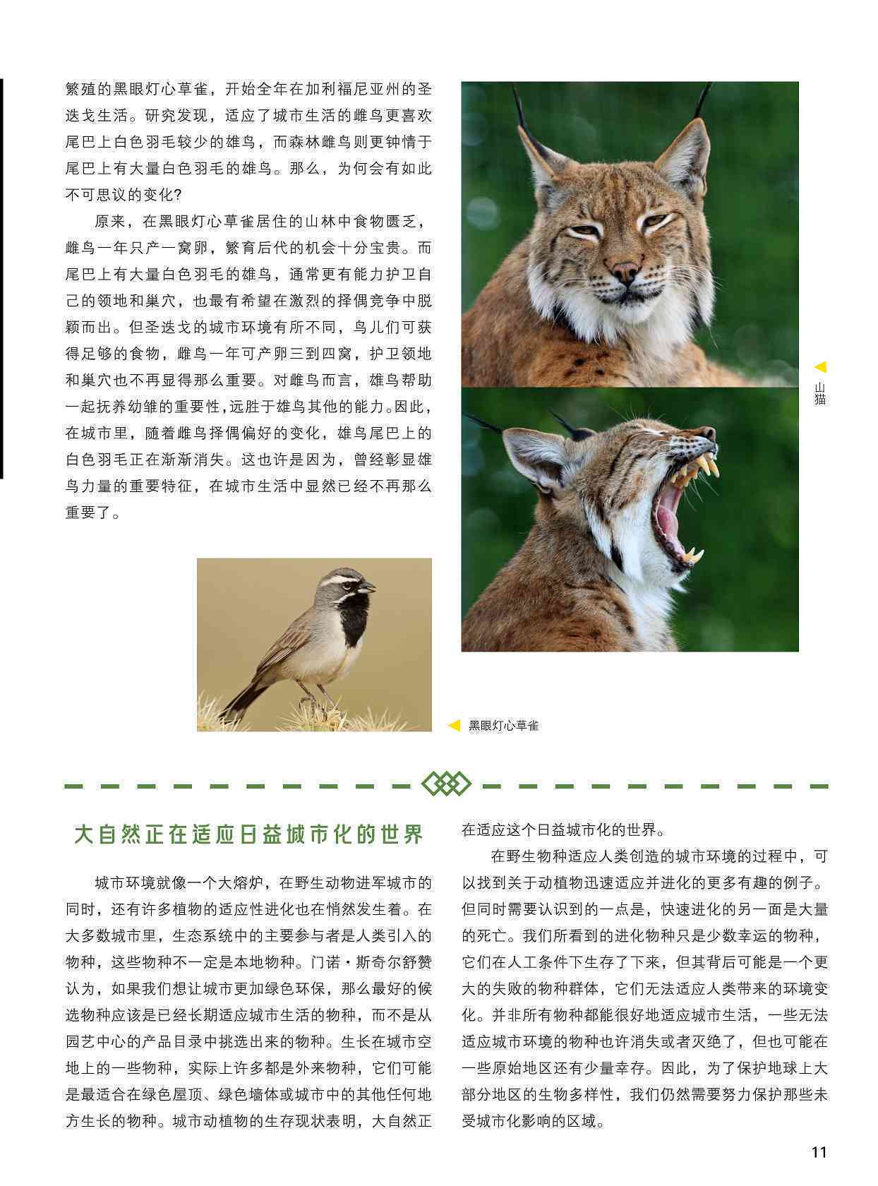 探索自然界：未被驯化的动物及其生存现状