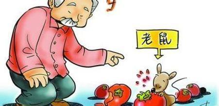 出血热：自愈可能性、治疗措与预防策略解析