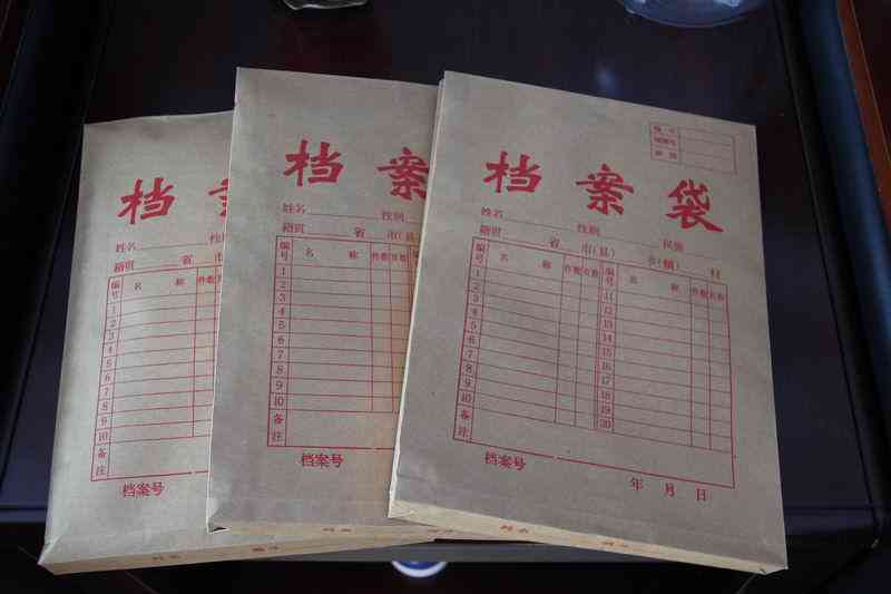 出警记录是否构成个人案底详解：出警记录的法律影响探究