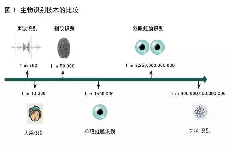 'AI驱动的报告解析模型：如何实现精准信用评估与分析'
