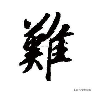 探索起点的作家助手：功能全面性与实用体验解析