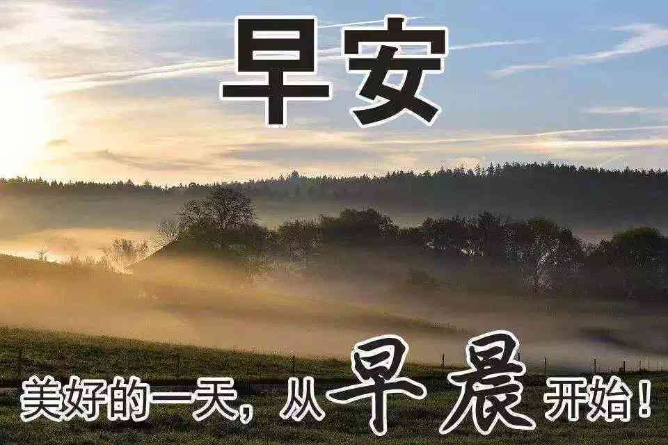 AI广告文案创作指南：全面覆用户搜索需求与解决方案