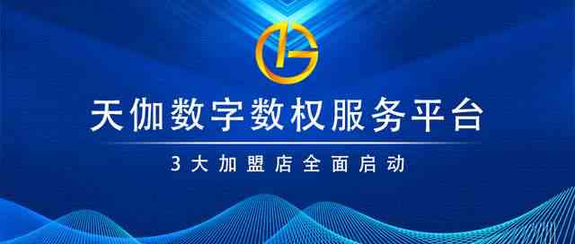 全方位创作服务平台：满足各类创作需求与资源整合一站式解决方案