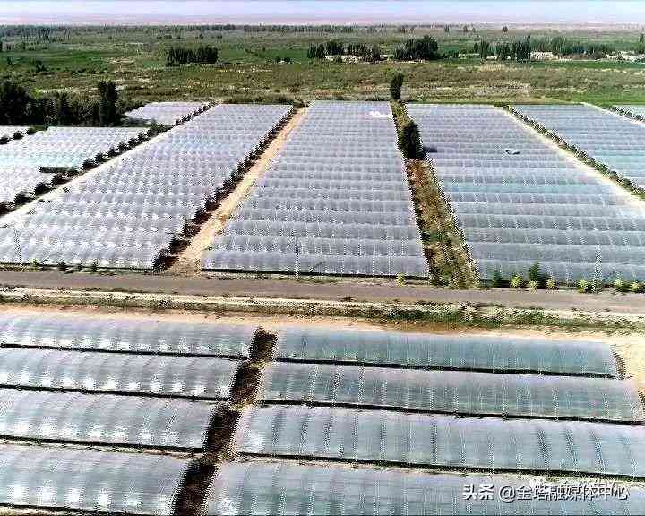 '基于用户反馈的AI垃圾桶使用体验与满意度调研报告'