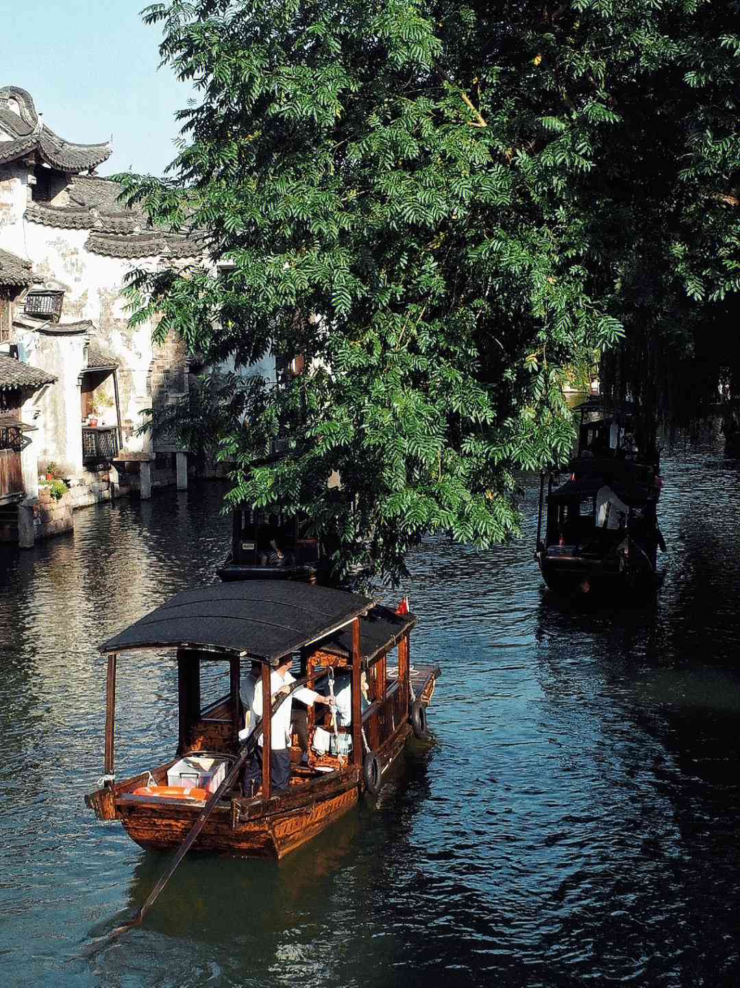 江南风情 alto 旋律之旅