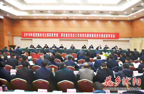 2019年度基层建工作回顾与展望：支部书记履职报告