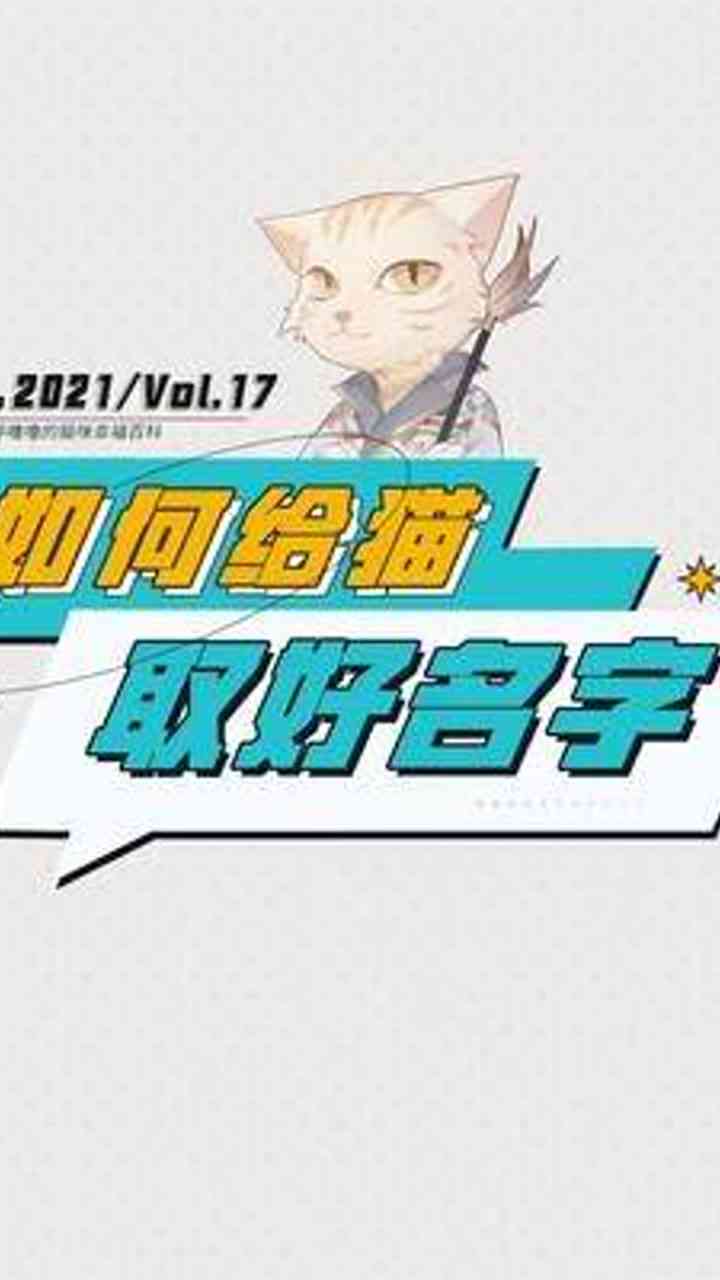 探索写作猫的创意奥秘：如何激发写作灵感