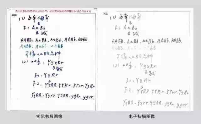 语书写软件：推荐与热门，比较哪个书写拼写更好用