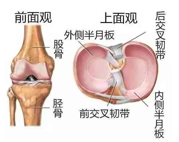 工作中半月板损伤是否合工伤认定标准