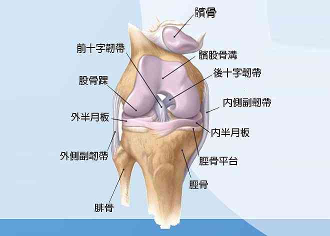 半月板损伤认定工伤吗