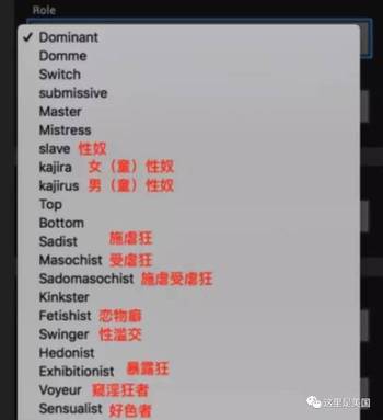 新闻稿写作AI网站怎么做出来：揭秘背后的技术构建流程