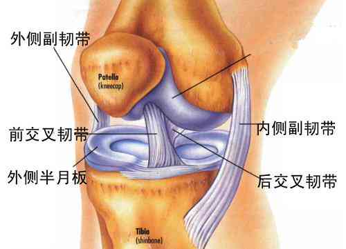 膝关节半月板撕裂：工作原因致伤能否申请工伤认定及赔偿