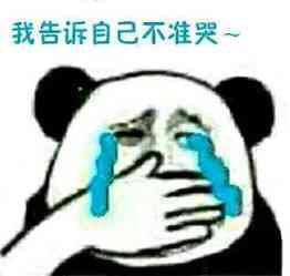 思达网恋对象找到了吗：揭秘其网恋对象是谁