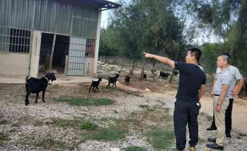 单位人才认定政策：解锁人才发展优势与综合福利待遇