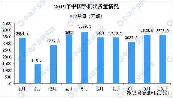 2019数据报告：CHFS与年报综合分析及2020年度更新