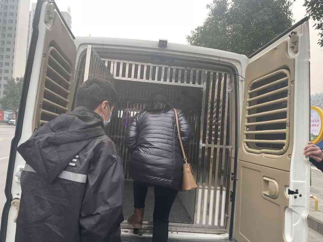单位同意工伤认定申请的官方文书格式及完整模板指南