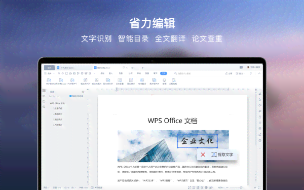 wps会员ai写作会被发现吗安全吗：苹果版是否可靠及检测风险探讨