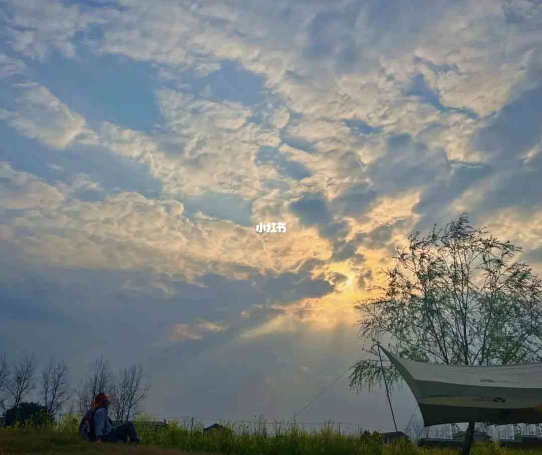 ai治愈风景文案