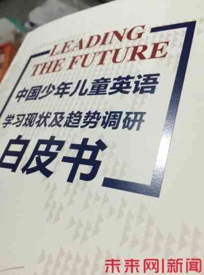 全球视野下的在线英文写作盈利平台精选