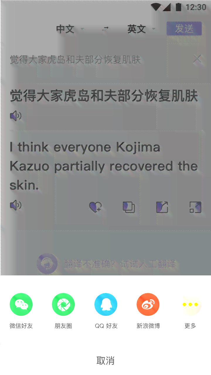 搜狗智能翻译：全方位覆多语种实时翻译，解决跨文化交流难题