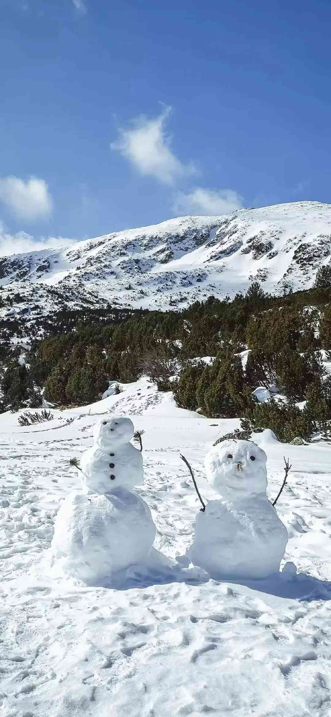 雪山文案：高级短句、治愈系精选、朋友圈必备，哈巴雪山灵感集锦