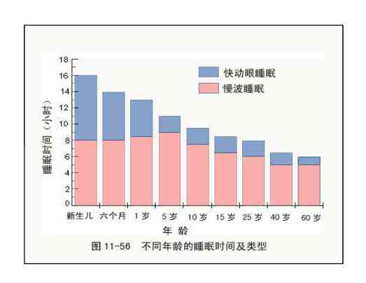 内伤鉴定技术：如何科学评估体内损伤程度
