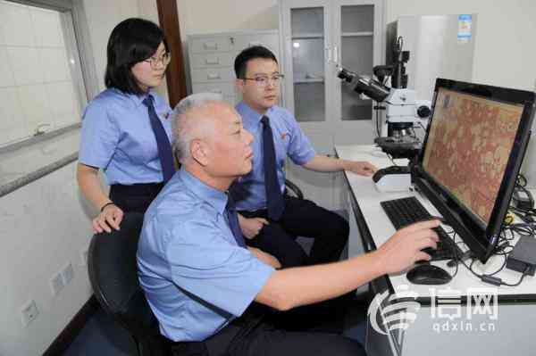 只有病历可以做法医鉴定吗：医院病历能否进行司法鉴定及费用问题探讨
