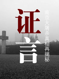 证人证言是否足以独立认定案件事实的关键探讨
