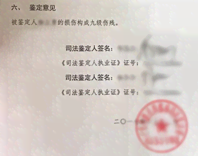 可以委托律师做伤情鉴定吗：价格是多少及伤残鉴定委托可能性