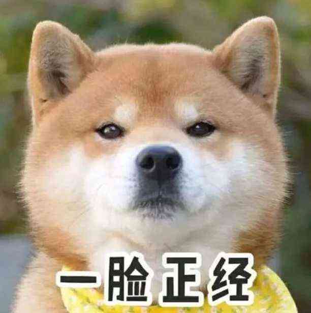文案写作软件-文案写作软件哪个