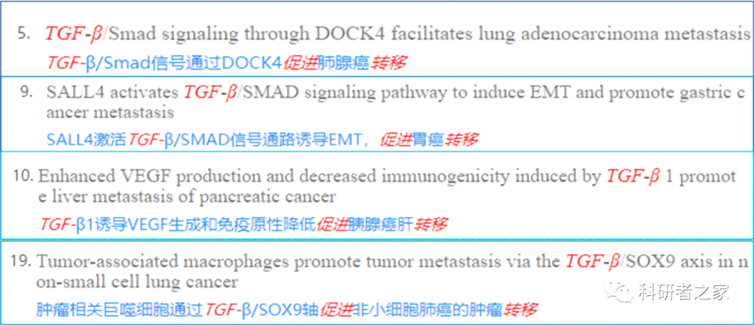 '高效AI文案工具盘点：精选哪些AI助手撰写文案更出色'