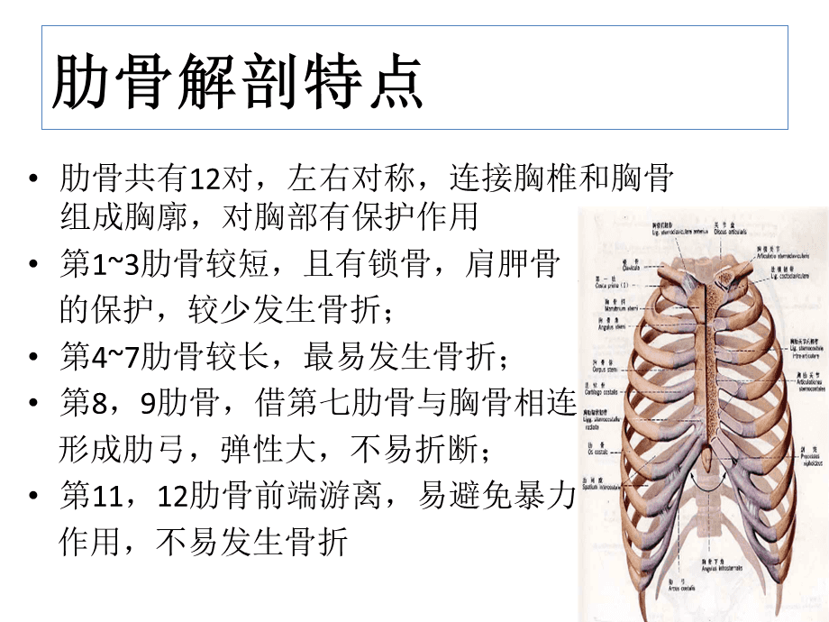 右侧肋骨骨折诊断与治疗要点