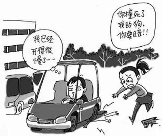 司机全责认定工伤吗：如何赔偿、公司是否赔偿及赔偿金额解析