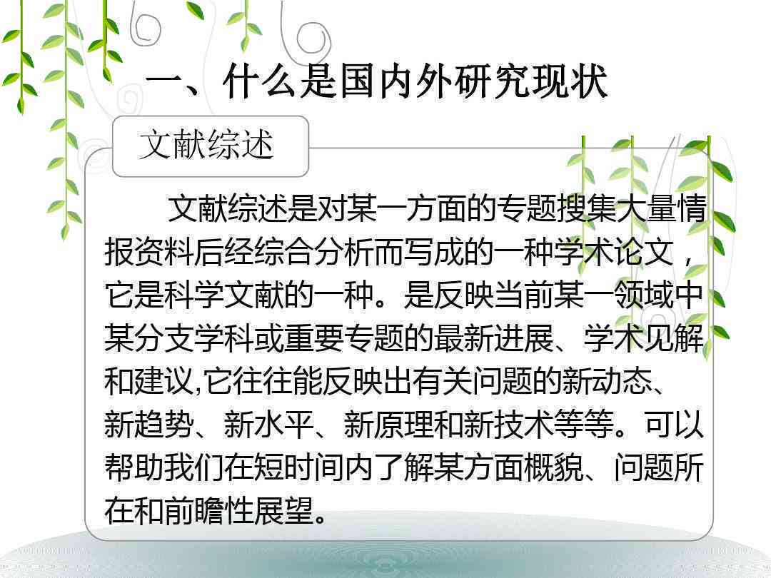 国内外研究综述模板：写作、总结、分析与作用解析